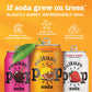 Culture Pop Soda  Most Loved Variety Pack  Probiotic Low Sugar Soda  Sparkling Juice Alternative  Non-GMO  Kosher  Gluten-Free  No Stevia (12pk)