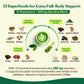 Venture Pal Ceremonial Grade Matcha Powder - 12 Superfoods with Probiotics & Adaptogenic Mushrooms (Lions Mane, Reishi, Spirulin