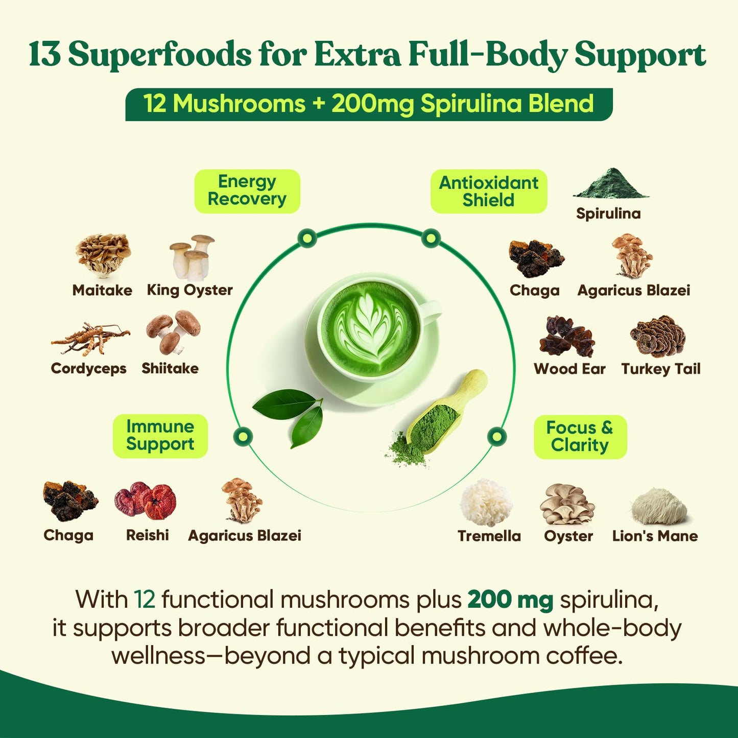 Venture Pal Ceremonial Grade Matcha Powder - 12 Superfoods with Probiotics & Adaptogenic Mushrooms (Lions Mane, Reishi, Spirulin