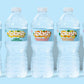 SPLASH BLAST Pineapple Mango Flavor Water Beverage, 16.9 Fl Oz, Pack of 6 - Refreshing Hydration in Plastic Bottles