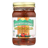 Green Mountain Gringo Medium Salsa, 16 Ounce -- 12 Per Case12