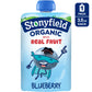 Stonyfield Organic Kids Blueberry Lowfat Yogurt, 3.5 oz. Pouch, Single Serve - Includes Live Active Cultures