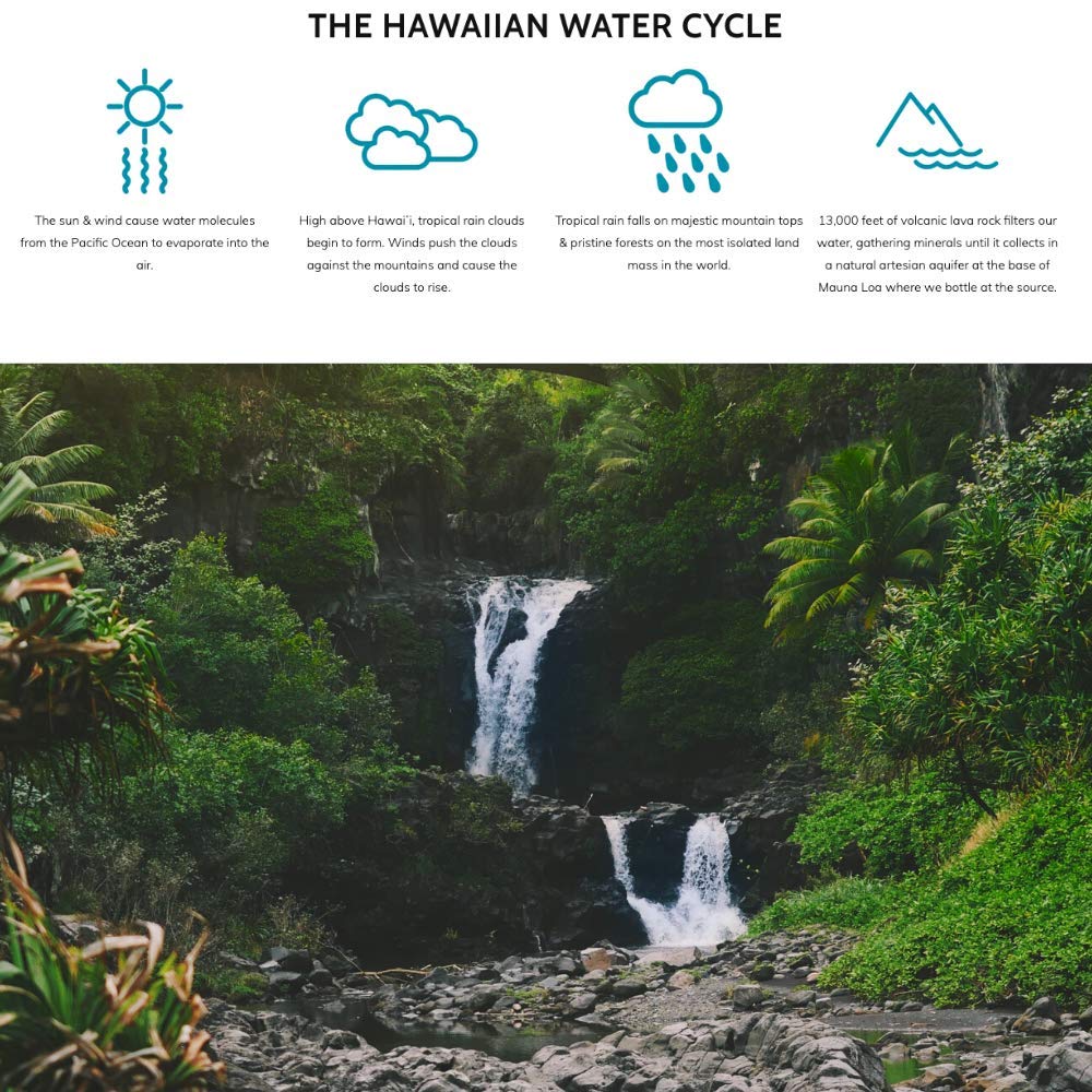 Hawaiian Springs- Natural Artesian Bottled Water | Volcanic Enhanced Alkaline Electrolytes | Sourced On Big Island, Hawaii | 1L