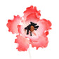 O'Creme Anemone Gumpaste Sugar Flower 3-1/4 Inch - For Cake Decorating - Sugar Paste Decorations For Cakes, Cupcake Toppers - Bi