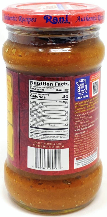 Rani Kashmiri Masala Curry Paste 10.5Oz (300G) Glass Jar ~ All Natural | Non-Gmo | Vegan | Gluten Free | Indian Origin, Cooking