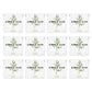 Simply Gum | Fennel | Pack of Twelve (180 Pieces Total) | Synthetic Free + Aspartame Free + non GMO