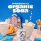 Daytrip Organic Sparkling Prebiotic Soda, Low Sugar, 12-Pack, Cream Soda