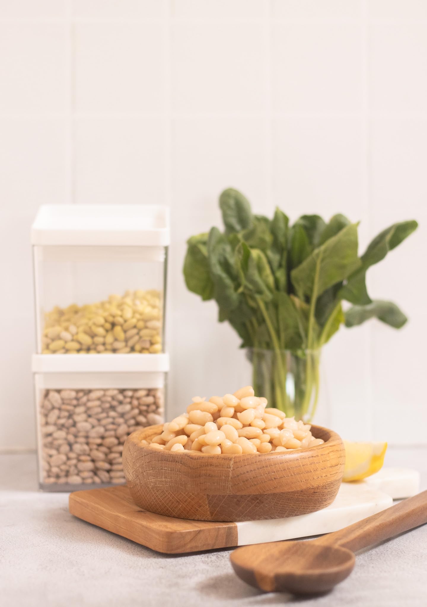 High Plains Beans Mayocoba Beans, Non-GMO, 10 Pound Bag, High Protein & Fiber Source, Dry Beans