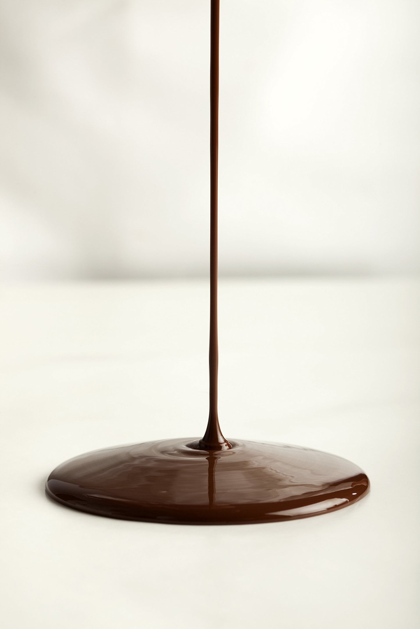 Hollander Dutched Chocolate Caf   Sauce | Vegan Friendly, GMO-Free, Gluten/Soy Free, Corn Syrup Free |15 fl. Oz. Squeeze Bottle