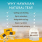 HAWAIIAN NATURAL T·E·A Mango Peach Organic Tea - Tropical Green & Black Blend - 120 Tea Bags - 20 Count (Pack of 6)