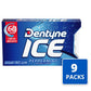 Dentyne Ice Sugar Free Gum - Peppermint 16-Piece Pack (9 Packs)