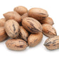 Anna and Sarah Premium Georgian Raw Fresh Pecans in Shell (9 Lbs in Box)