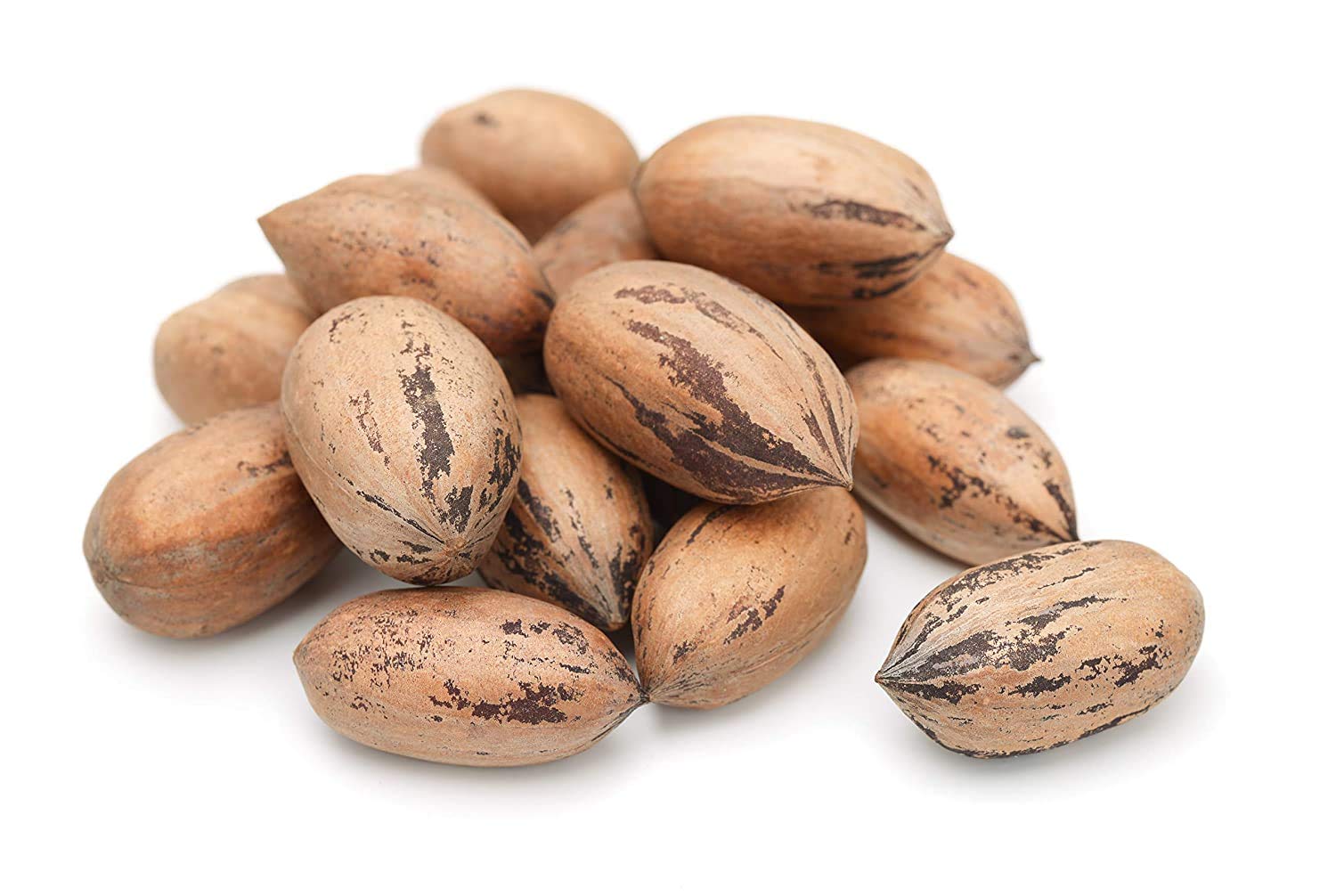 Anna and Sarah Premium Raw Fresh Pecans in Shell, 9 lbs, Pack of 1