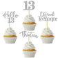 48Pcs 13Th Birthday Cupcake Toppers Glitter Hello 13 Cupcake Topper 13 Official Teenager Thirteen Cupcake Picks For Happy 13Th B