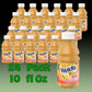 Fruit Juice Orange Pineapple Drink 10 fl oz Plastic Bottles 24 Pack