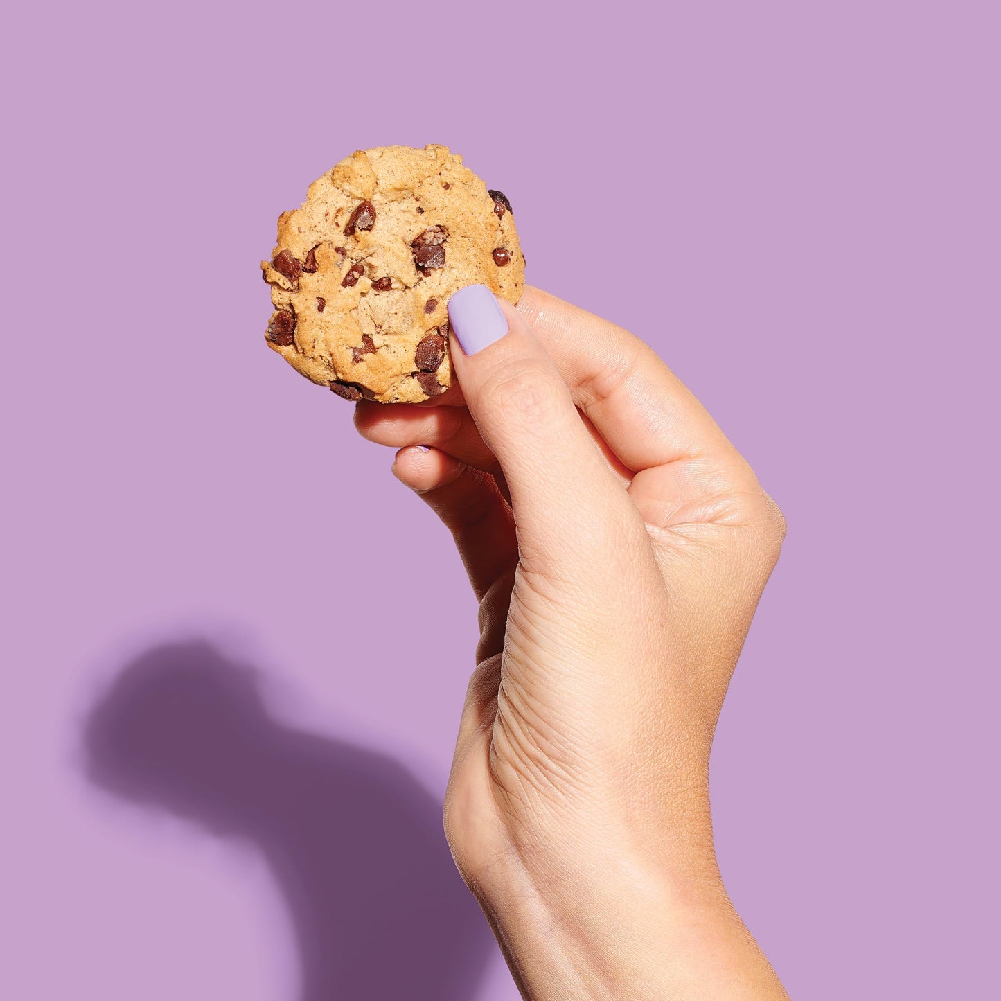 Back To Nature - Chocolate Chunk Cookies - Made With Seriously Tasty Real Ingredients Like Wheat Flour - Non-Gmo - 7.5 Ounce