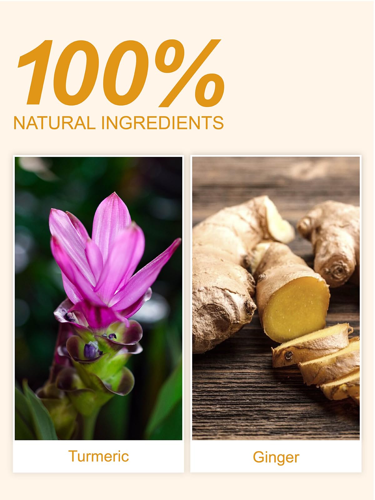 TeeLux Turmeric Ginger Tea Bags - Caffeine Free Herbal Tea, 100 Count, Spicy & Smooth Flavor