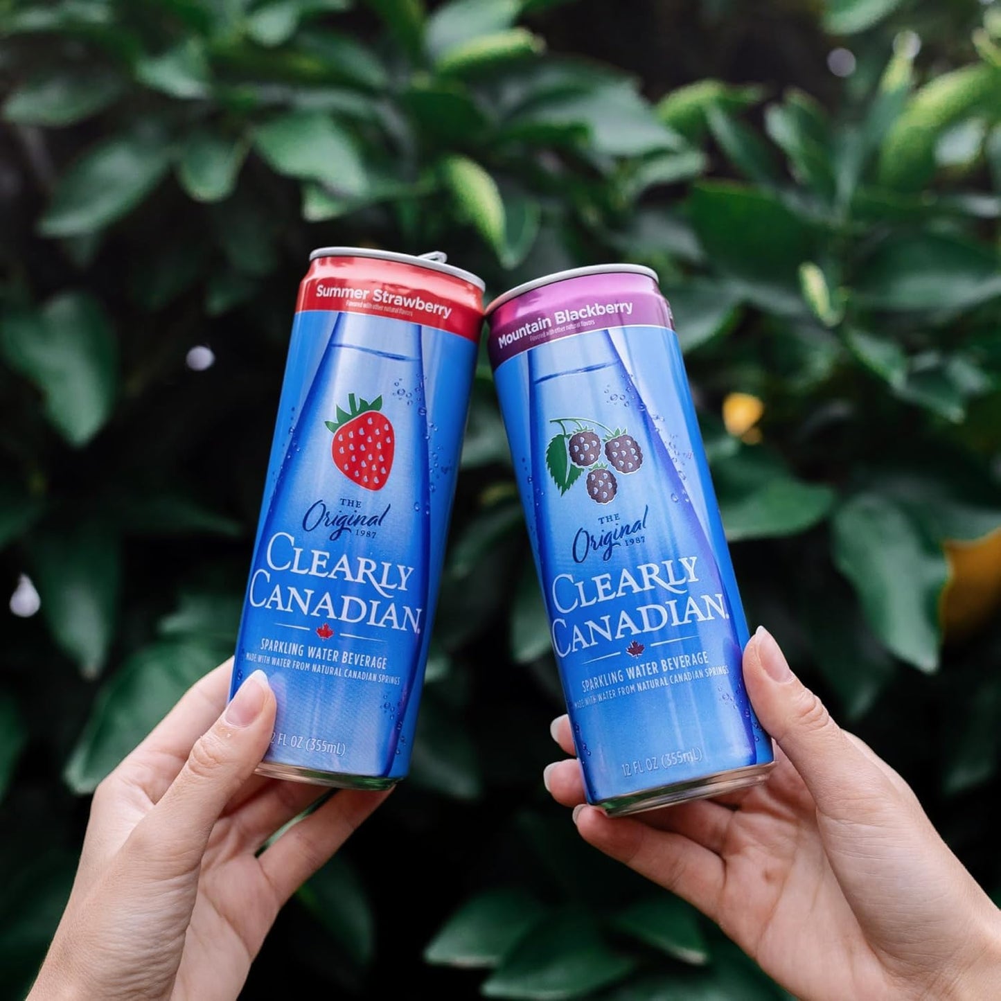 Clearly Canadian Sparkling Water Variety Pack, 24-Pack, Assorted Flavors, Naturally Flavored Carbonated Drink