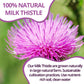 Vida Farm Milk Thistle Tea Bags - 125 Count, 100% Natural Seeds And Leaves, Dried Herbal Tea, Sugar Free, Caffeine Free