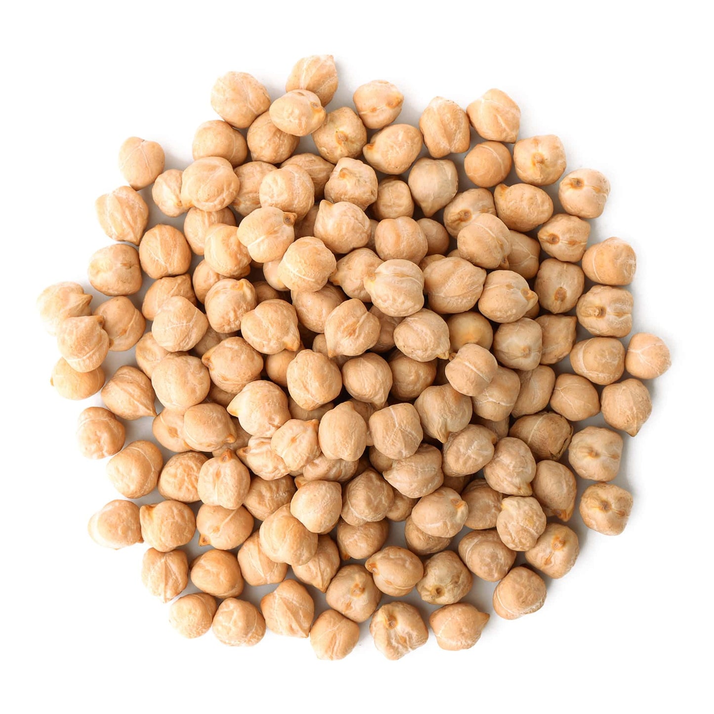 Food to Live Organic Garbanzo Beans, Dried Chickpeas, Non-GMO, Kosher, 10 Pounds