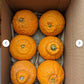 Generic Sumo Mandarin Oranges, comes with 4lbs of the fruits, Large