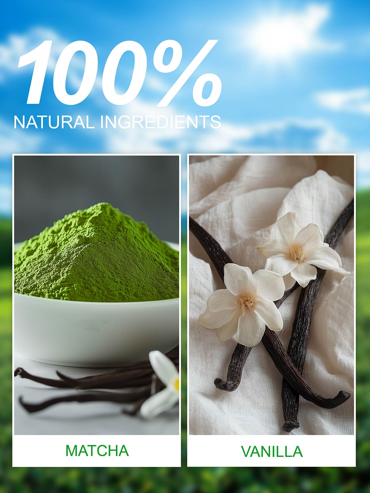 Teelux Vanilla Matcha Green Tea Powder, First Harvest Premium Matcha + Delicate Vanilla Powder, Flavorful & Aromatic, Hot Or Ice