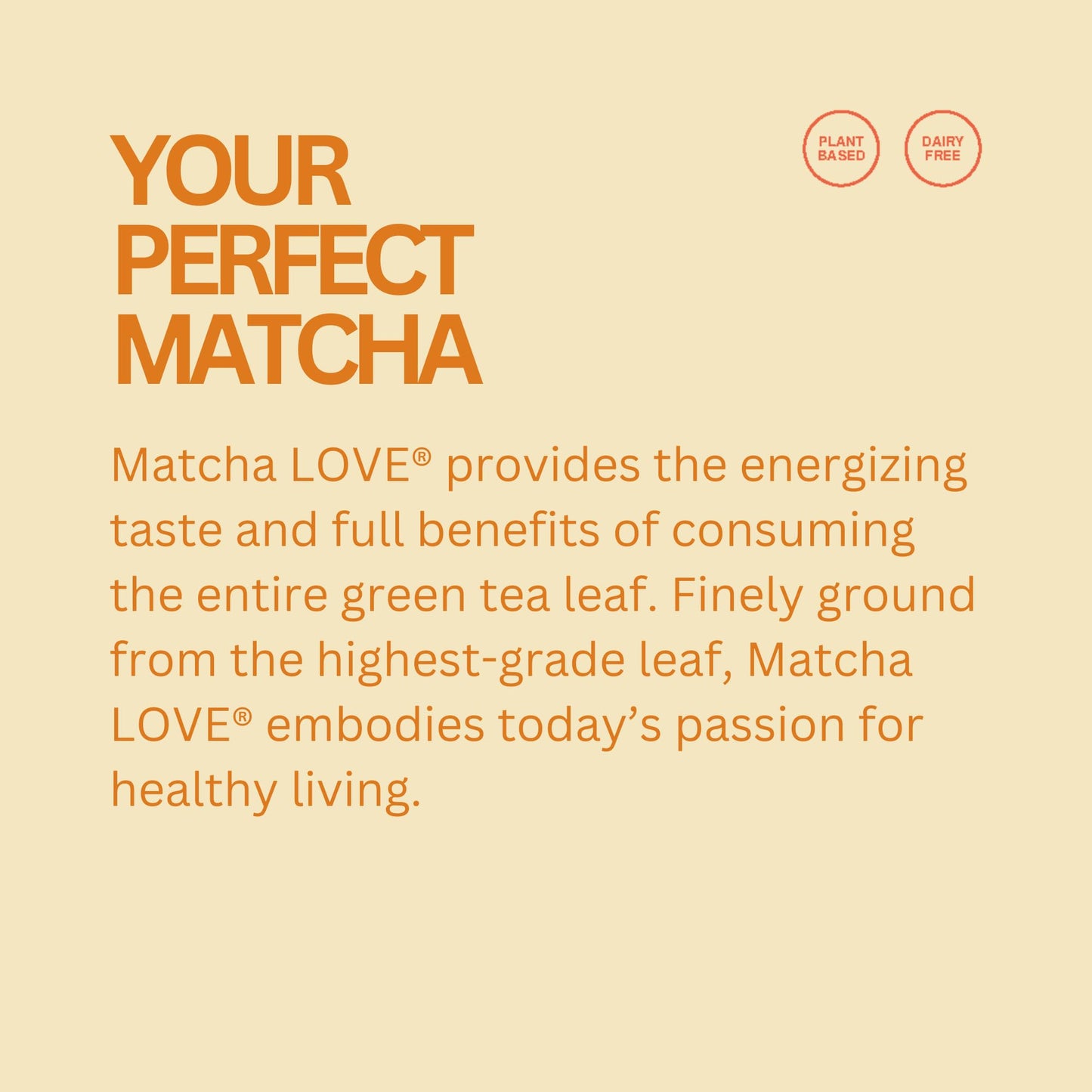 Matcha Love Ginger Matcha + Green Tea, Unsweetened, 8 Ounce (Pack Of 12)