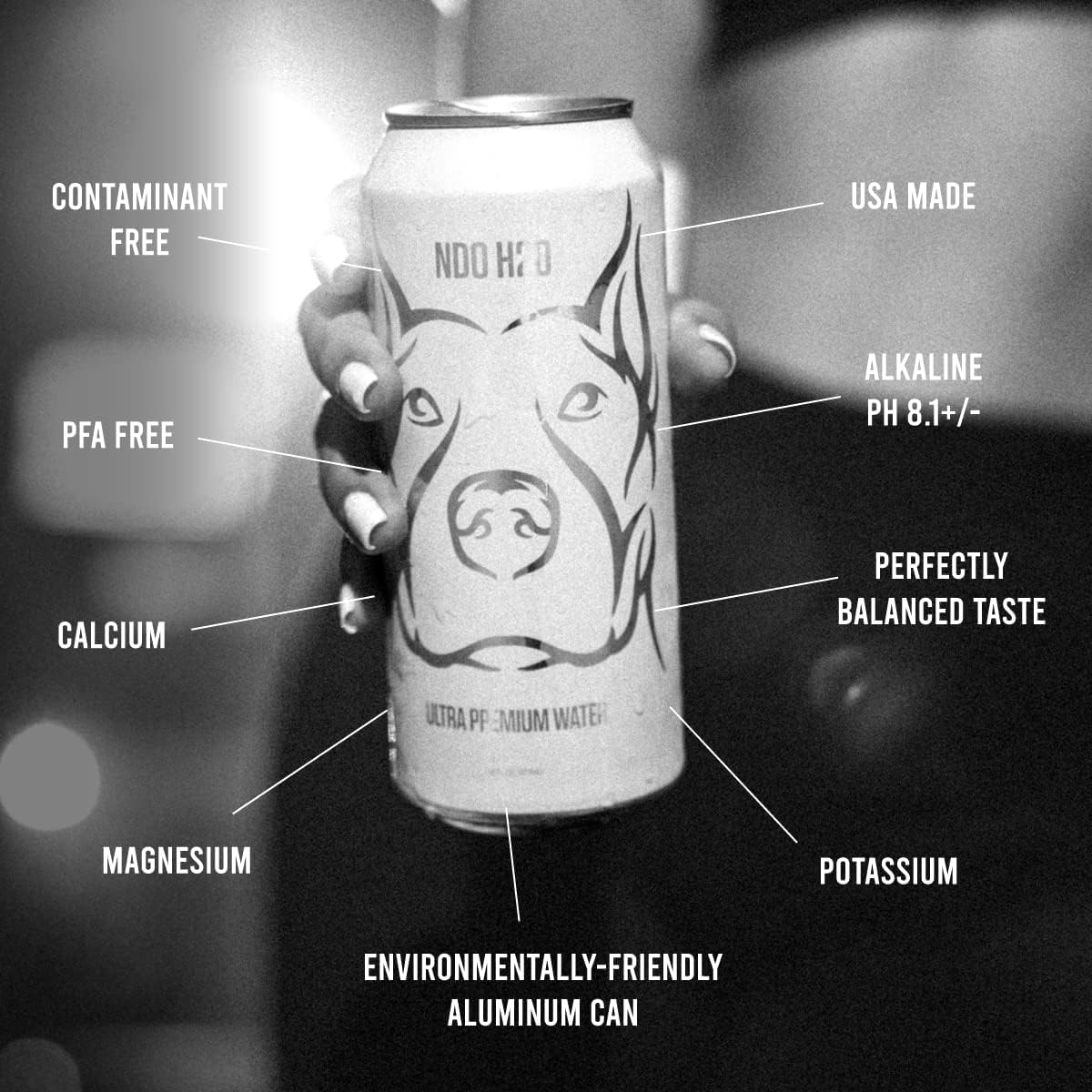 No Days Off Premium Water (Still), 12 Pack - 16 Fl Oz/Can, 5.68L Total, Reverse Osmosis Canned Alkaline Water With Essential Min