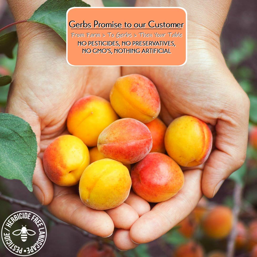 Gerbs Dried Apricots 4 Lbs. | Freshly Dehydrated Packed In Resealable Bulk Bag | Top Food Allergy Free | Sulfur Dioxide Free |Gr