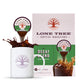 Lone Tree Coffee Concentrate Single Serve Liquid Pods By Java House, Peel And Pour (Pack Of 12, Decaf)