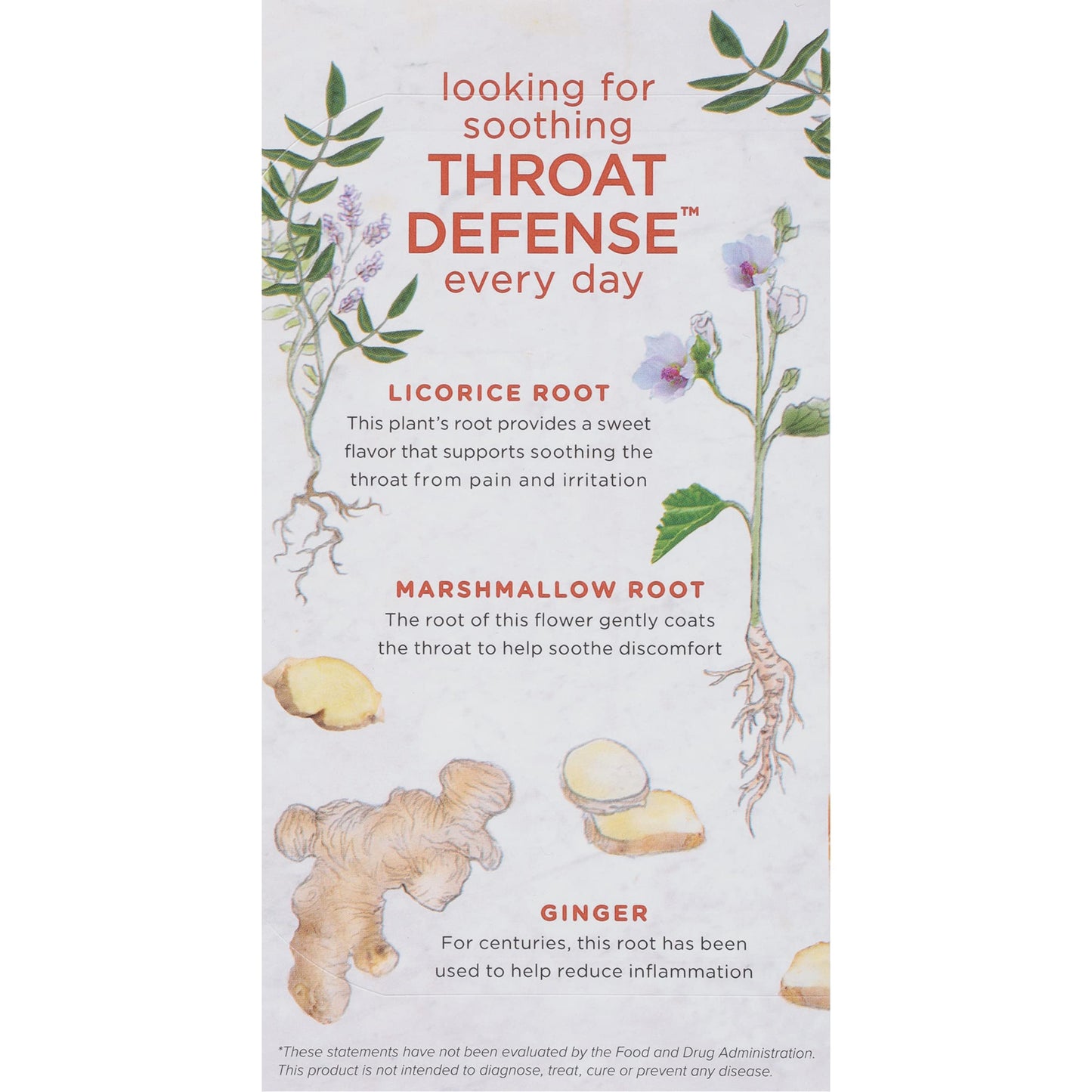 Bigelow Benefits Throat Defense (Ginger Honey Lemon Herbal), 18 Count (Pack Of 6), 108 Total Tea Bags