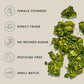 Matchaful - Original Matcha Granola - Activated, Grain Free, Organic Ingredients - Vegan, No Refined Sugar, No Gmo - Gluten Free