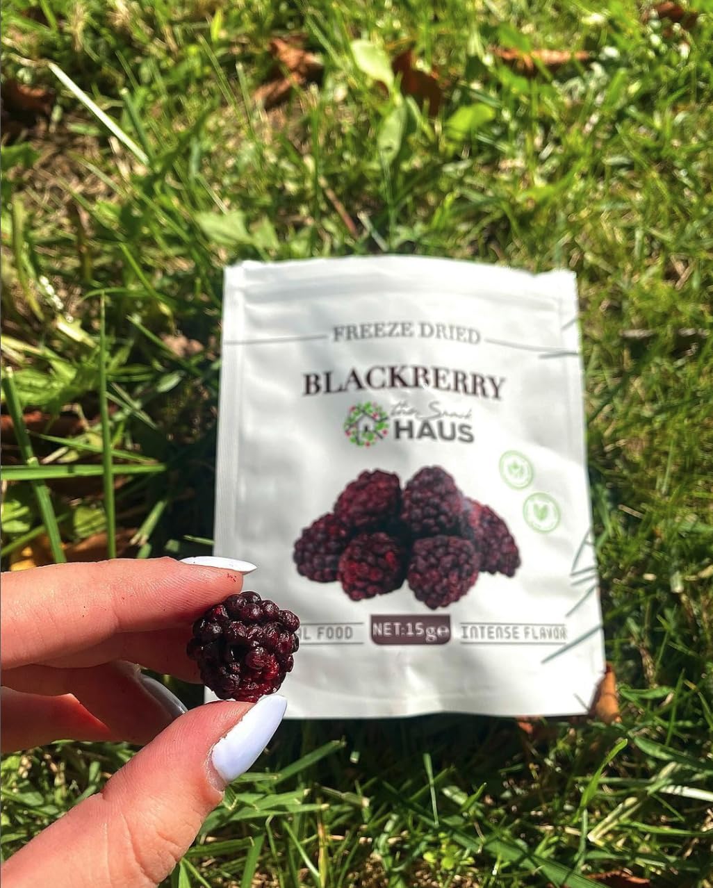 The Snack Haus Freeze-Dried Blackberries, All-Natural Snack, Pack of 2