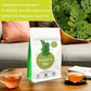 SAMCCI Moringa Tea - Herbal Tea for Digestion & Immune Support - 50 Tea Bags - Non-GMO, Vegan, Caffeine-Free