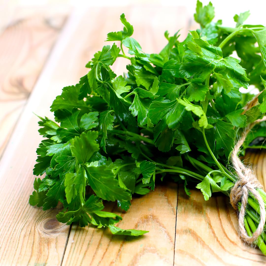 Olive & Vine Parsley Flakes, Fresh Herbal Flavor, Seasoning For Soups, Salads, Pasta, Rich Tradition, Authentic Taste, For Global Recipes (0.64 Ounce)