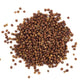 Spicy Yum! Grains Of Paradise - Whole Alligator Pepper (Atare, Guinea, Melegueta Pepper) (Whole (3 Oz. Glass Jar))