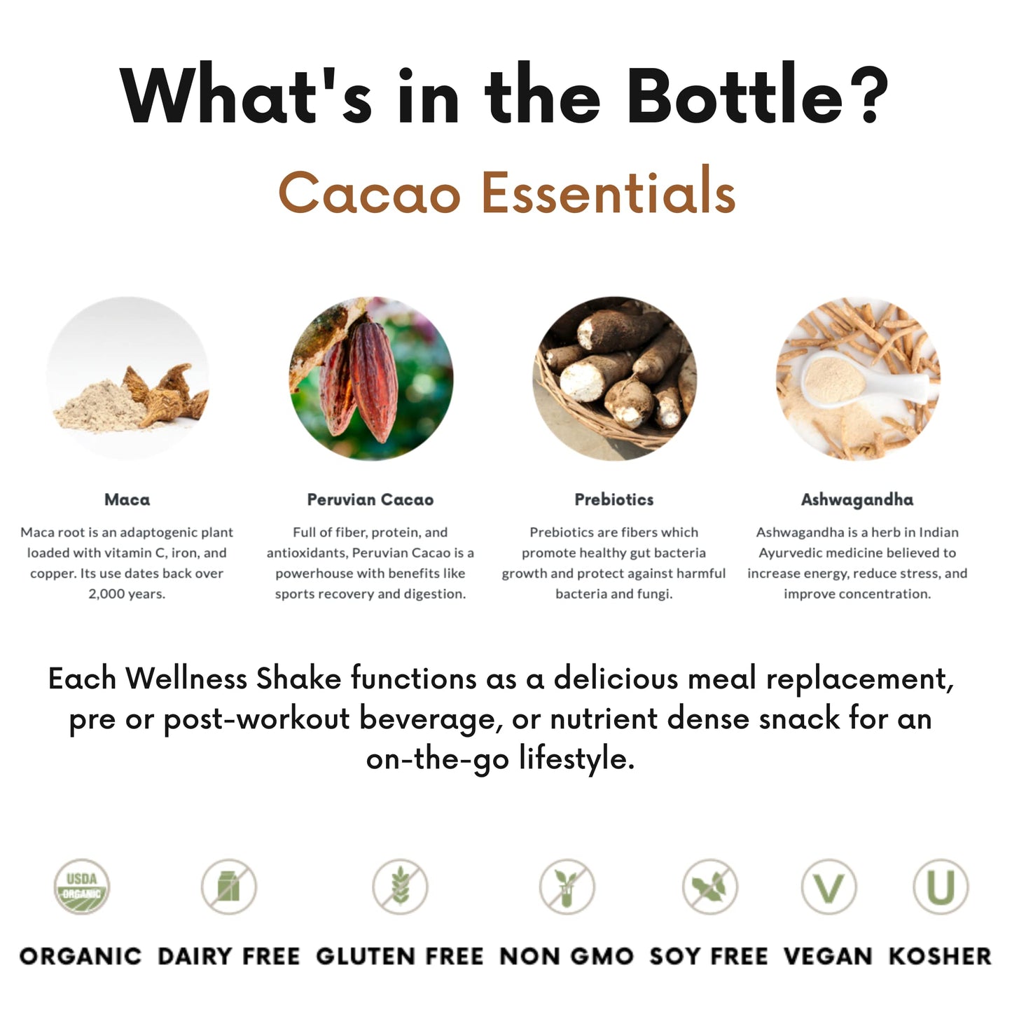 Remedy Organics Cacao Essentials 12-Pack | Plant Based 16g Protein Shakes  Ready to Drink | USDA Organic  Gluten Free  Dairy Free  Soy Free
