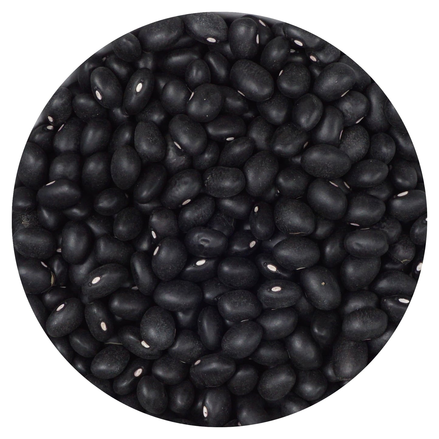 Hampton Distribution Black Beans, 5 Pound Bulk Bag, 80 Ounce, Black Color