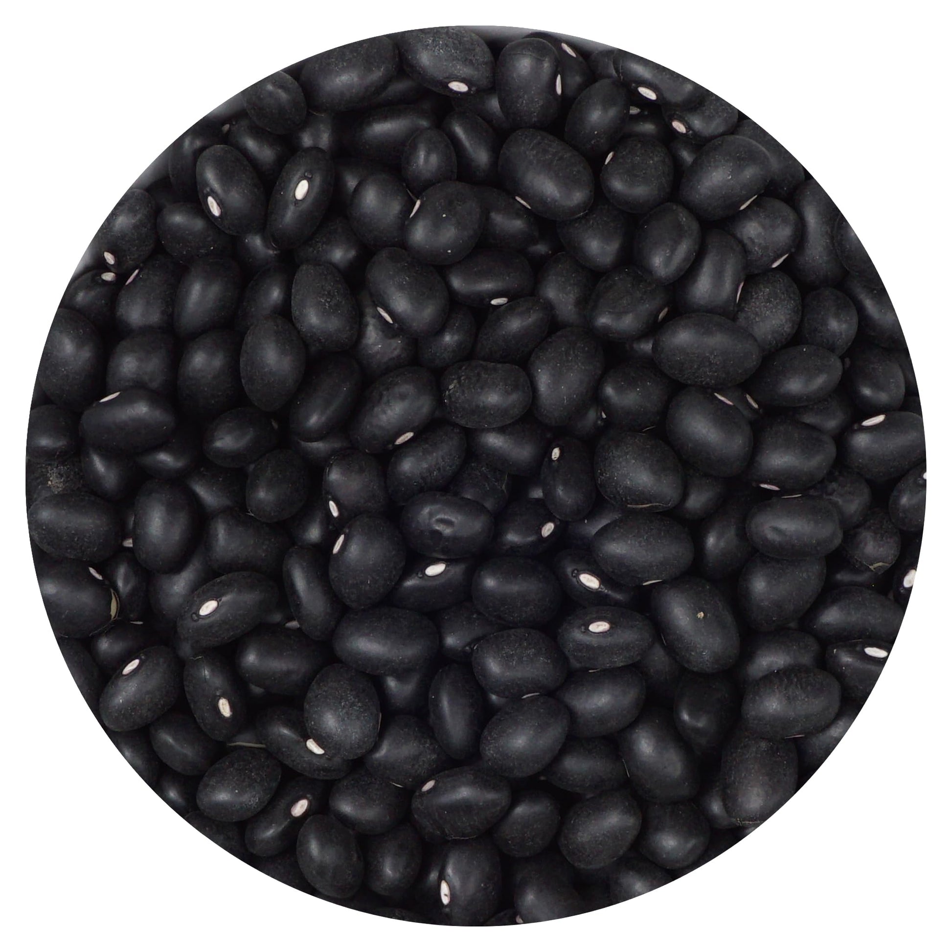 Hampton Distribution Black Beans, 5 Pound Bulk Bag, 80 Ounce, Black Color