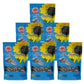 MR. MARTIN Freshly Roasted Salted Sunflower Seeds To Eat-Non-GMO, Crunchy, Kosher, Delicious, Vegan, Keto Friendly Snack - 5.25