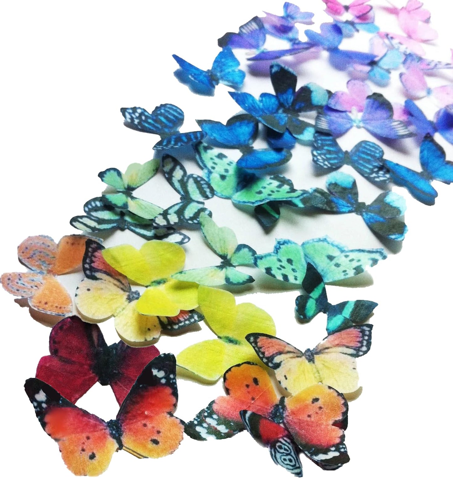Sugar Robot Inc. Edible Butterflies Cake Toppers, 1.75 inches, Rainbow