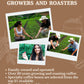 2Lb Subtle Earth Organic Coffee - Medium-Dark Roast - Whole Bean Coffee - 100% Arabica Beans - Low Acidity And Non-Gmo - 2Lb Bag