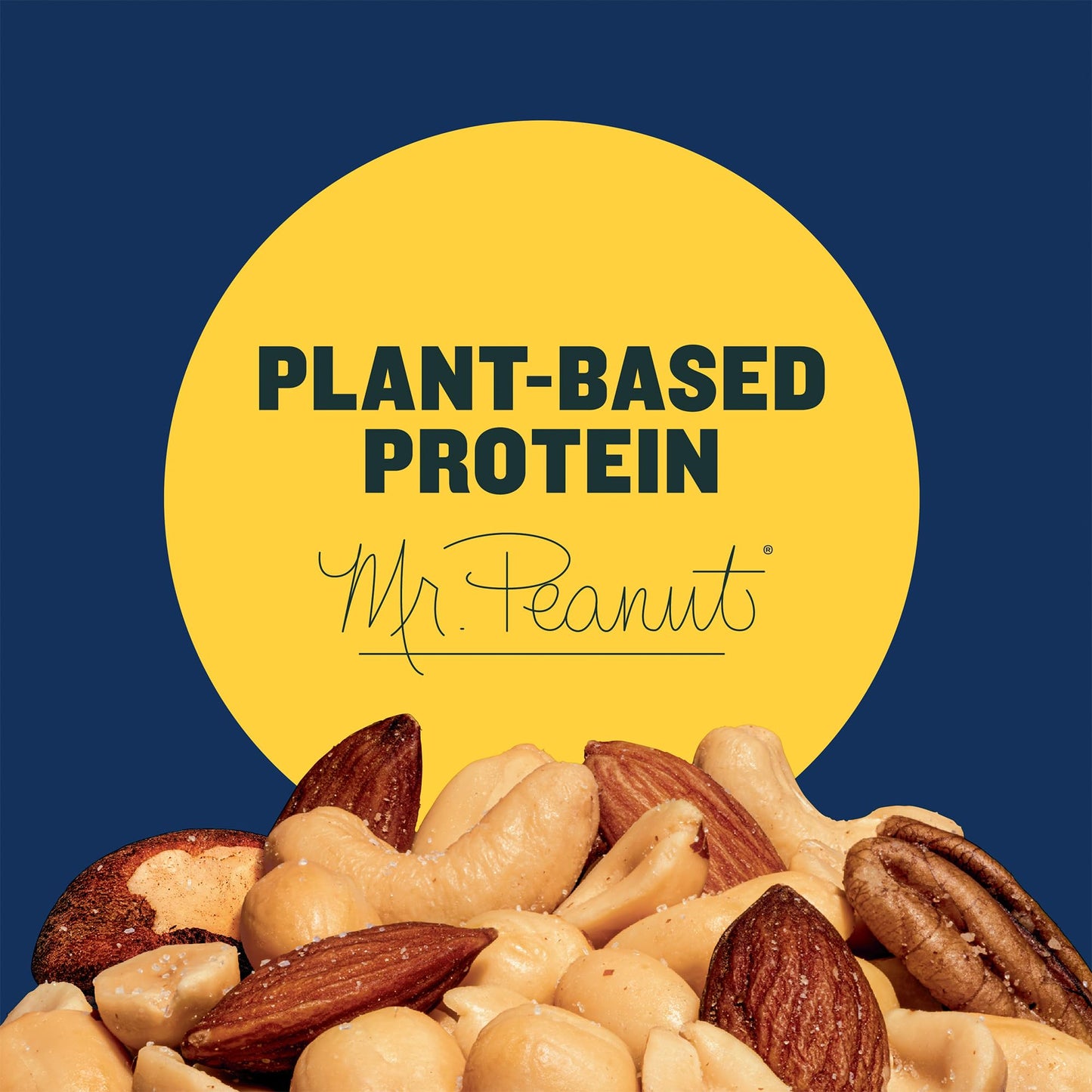 Planters Lightly Salted Mix Nuts, Plant-Based Protein, 15 Oz Canister