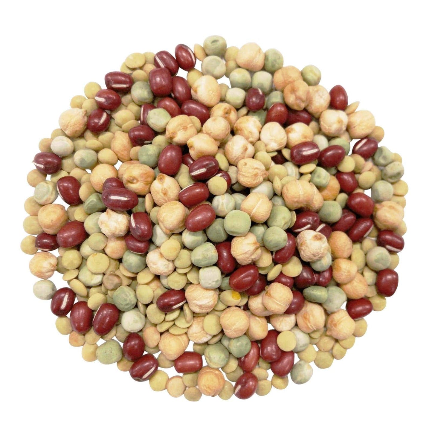 Food To Live Organic Crunchy Mix Of Sprouting Beans, 1 Pound - Non-Gmo, Kosher, Non-Irradiated, Vegan, Raw, Dried, Bulk - Organic Green Peas, Organic Adzuki, Organic Lentil, Organic Garbanzo