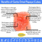 GERBS Dried Papaya Cubes - 2 LBS Bulk Bag, Gluten & Peanut Free, Sulfur Dioxide Free, Ivory Color