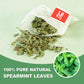 TEARELAE Spearmint Tea - 100% Pure Spearmint Leaves - Caffeine-free Herbal Tea - 50 Count