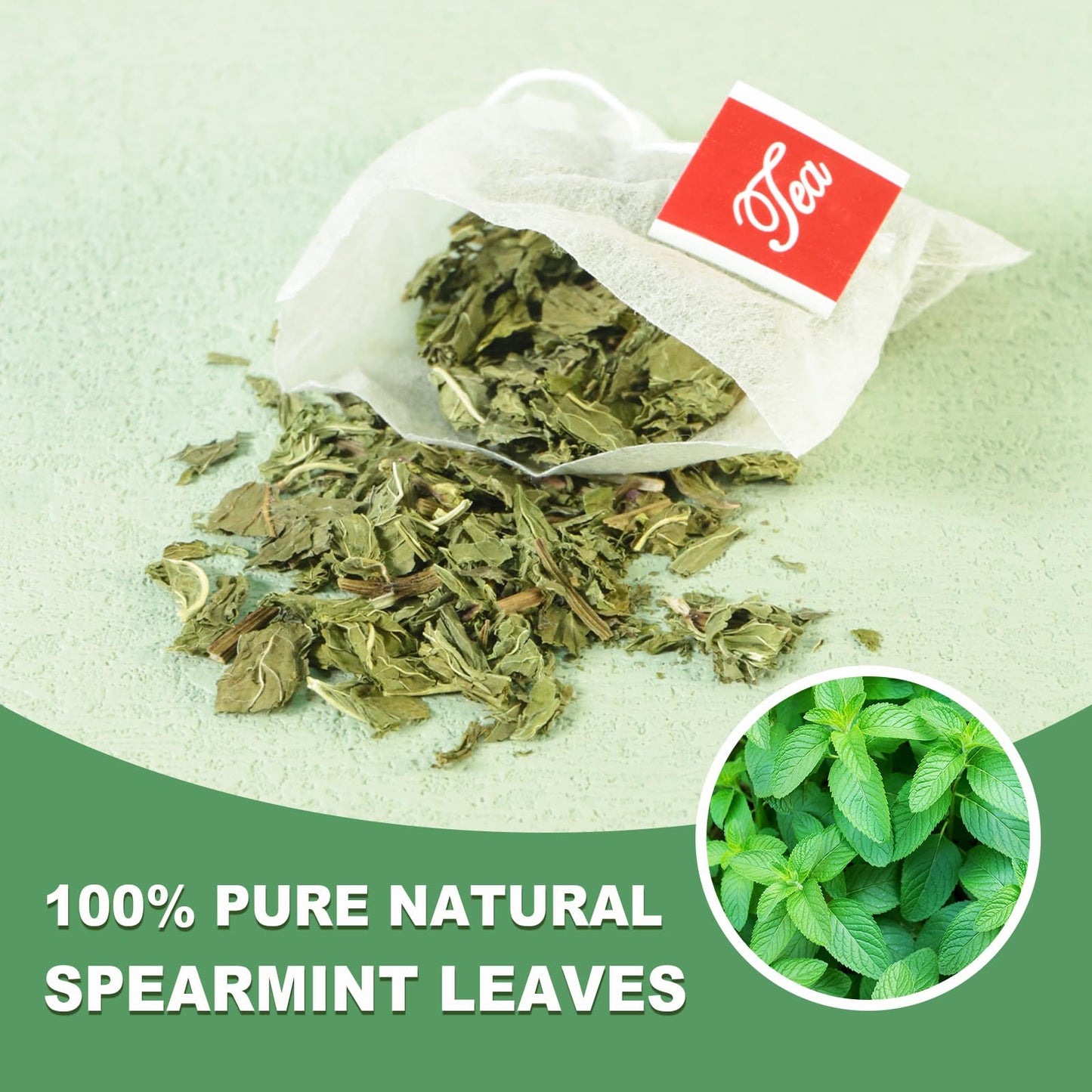 TEARELAE Spearmint Tea - 100% Pure Spearmint Leaves - Caffeine-free Herbal Tea - 50 Count