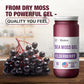 Biolore Sea Moss Gel - Elderberry, Vegan Superfood, 16oz, Wildcrafted Irish Seamoss