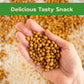 Sincerely Nuts Roasted Soybeans Lightly Salted (3 LB) - Healthy Fat - Vegan & Kosher - Easy Snack -Gluten-Free