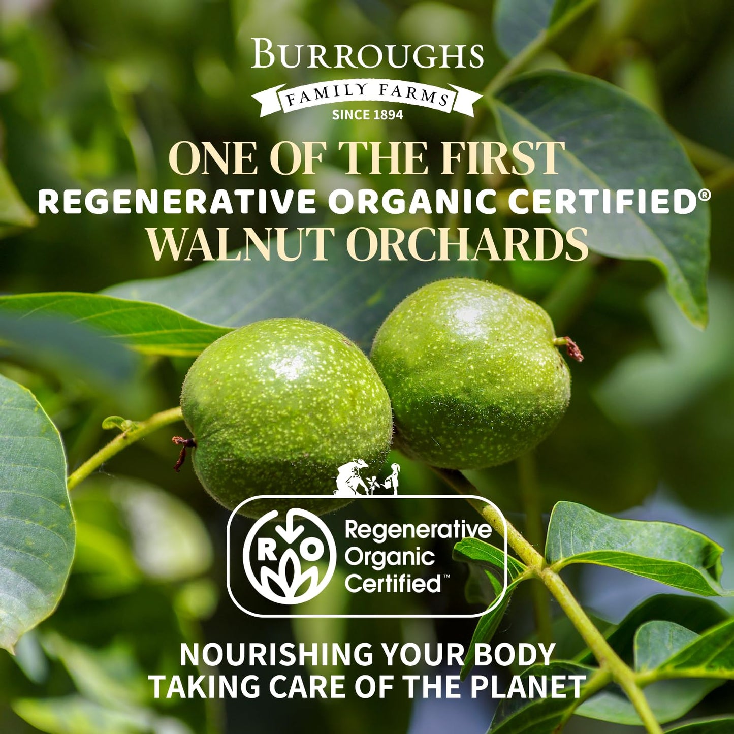 Organic Raw Walnuts Halves & Pieces 1.7lb - Unpasteurized, Regeneratively Grown in California - Whole, Fresh, Unsalted - Plant-B